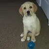 conniedobson67 - @conniedobson67 - TikTok