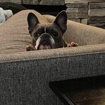 Connie Dotson Queen - @connie_queen_ - Instagram