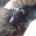 Connie Drew - Facebook