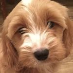 Connie drew cameron smith - @conniedrewcameron - Instagram
