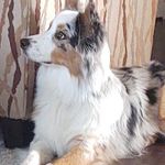 Connie Dyer - @connie_dyer_162 - Instagram