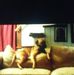 Connie Dyer - Facebook