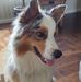 Connie Dyer - Facebook