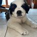 Connie Erickson - Facebook