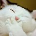 Connie Erickson - Facebook