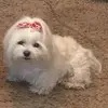 Connie Erickson - @connie.erickson6 - TikTok