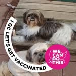 Connie Erickson - @connie.erickson.79 - Instagram