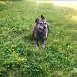 Connie Sizemore-Erickson - @conniesuesizemore - Instagram