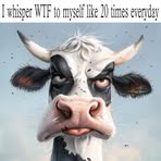Connie Floyd - Facebook