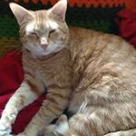 connie ford - @connieford4711 - Instagram