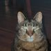 Connie Ford - Facebook