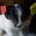 Connie Foster - Facebook