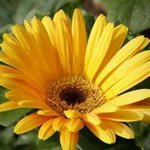 Connie Gardner - @connie.gardner.10 - Instagram