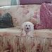 Connie Gardner - Facebook