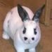 Connie Gardner - Facebook