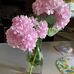 Connie Garman - Facebook