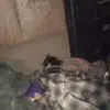 Connie Garrison - @connie.garrison5 - TikTok