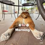 Connie Garrison - @conniegarrison475 - Instagram