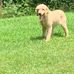 Connie Gilbert - Facebook