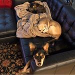Connie Gilbert - @connie_gilbert.505 - Instagram