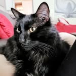 Connie Gillison - @gillison.connie - Instagram