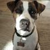 Connie Glaser - Facebook