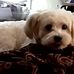 Connie Goodpaster - Facebook