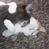 Vương Diễm Châu - @conniegoodwill - TikTok