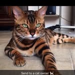 Connie Grass - @grassconnie123 - Instagram