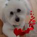 Connie Chojnacki Grasso - Facebook
