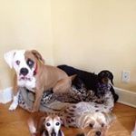 Connie Grasso - @divgra12 - Instagram