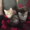 Connie Grebner - @connie.grebner - TikTok