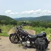 conniegregory79 - @connie.gregory2 - TikTok