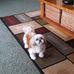 Connie Gresham-Ahnen - Facebook