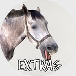 @another.grey.connie.extras - Instagram