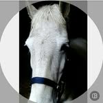 caramel - @_grey_connie_ - Instagram