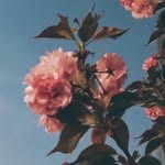 connie grey - @connieegrey - Instagram
