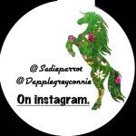 Dapple Grey Connie 🐴 - @dapplegreyconnie - Instagram