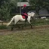 my.grey.connie - @my.grey.connie - TikTok