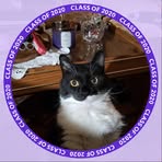 Connie Griffith - Facebook