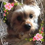 Connie Grimm Guinn - @conniegrimmguinn - Instagram