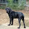 Conner Grinstead - @user60303432728723 - TikTok