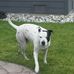 Connie Grubb Hodgson - Facebook