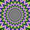 Connor Haddad - @connor.haddad - TikTok