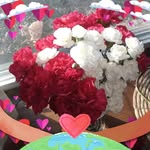 Connie Harding - @hardingconnie73 - Instagram