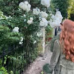 Constance-Grace - @connie_harding - Instagram