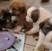 Connie Hatley - Facebook