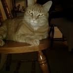Connie Hill - Facebook