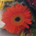 Connie Hill - @chill_grandma - Instagram