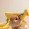 Connie Hill - @connie.hill05 - TikTok